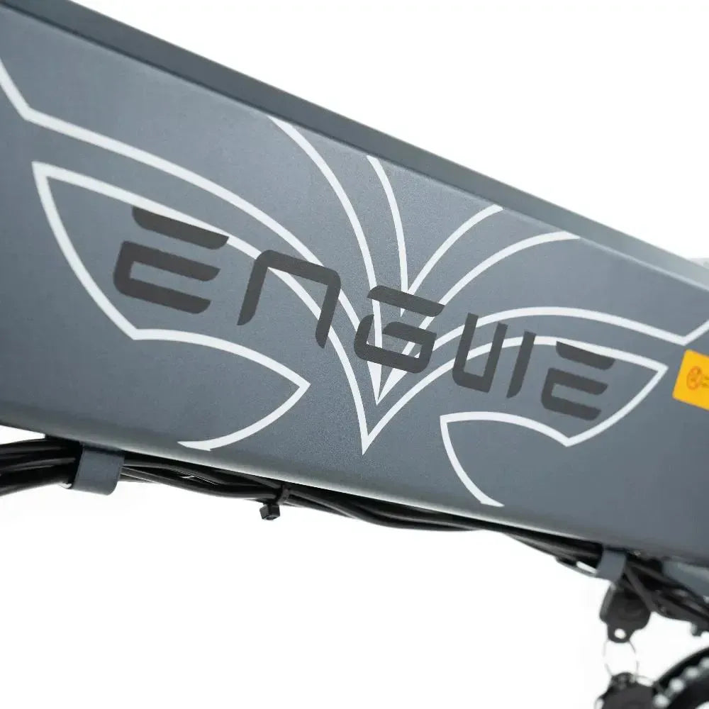 ENGWE EP 2 Pro - Szary