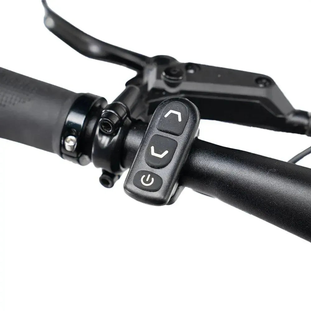 ENGWE Mapfour N1 Pro - Szary