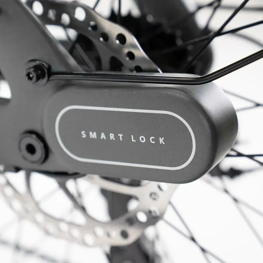 ENGWE Mapfour N1 Pro - Szary