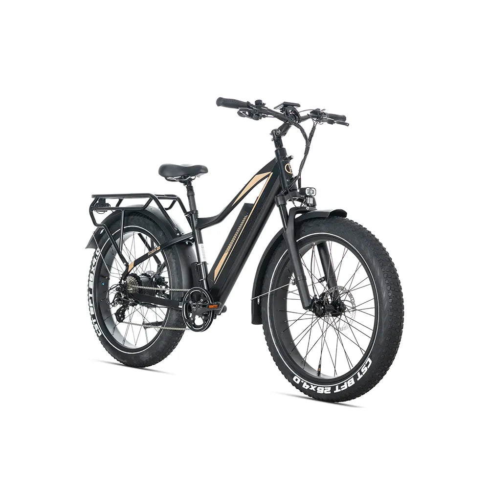 JOBOBIKE Robin Pro - Czarny-złoty