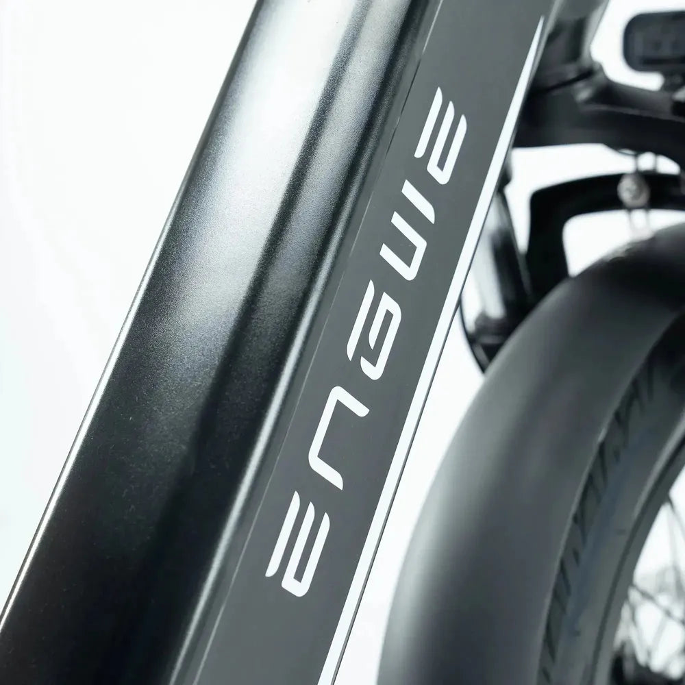 ENGWE L20 3.0 Pro - Czarny