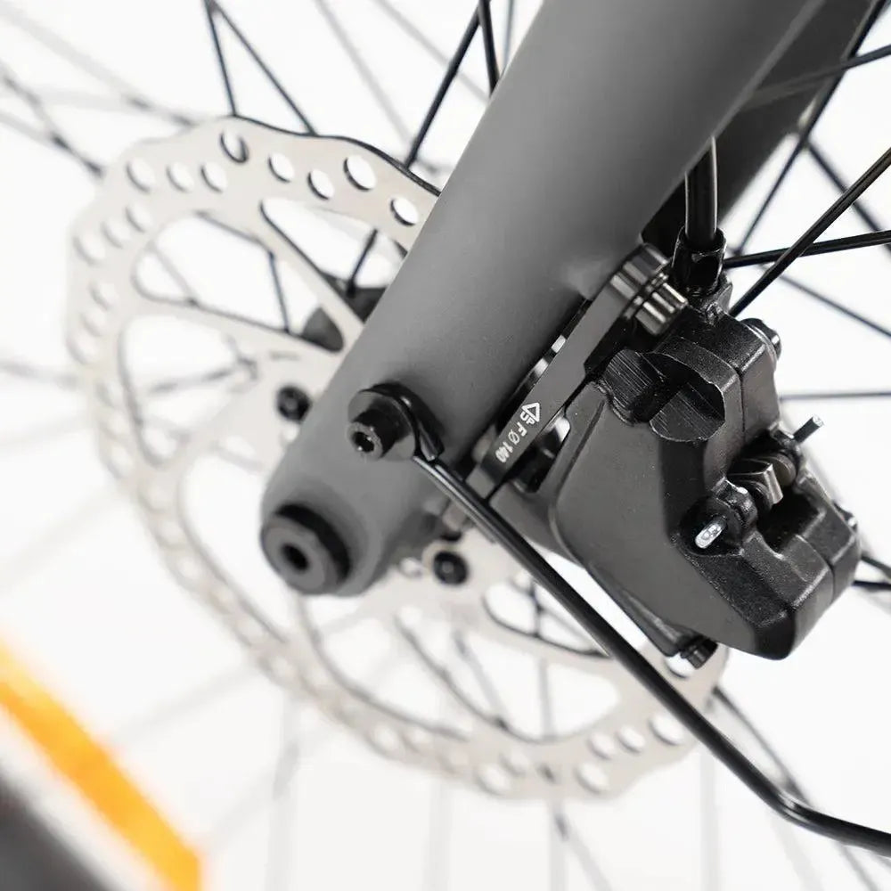 ENGWE Mapfour N1 Pro - Szary