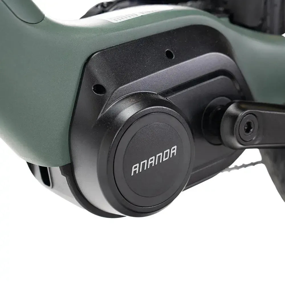 ENGWE Mapfour N1 Pro - Zielony