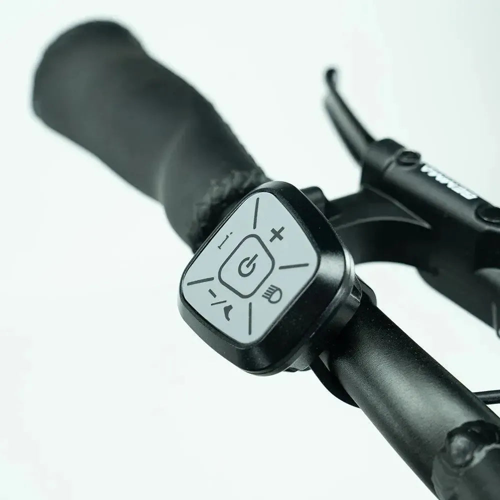 JOBOBIKE Transer - Longtail - Zielony