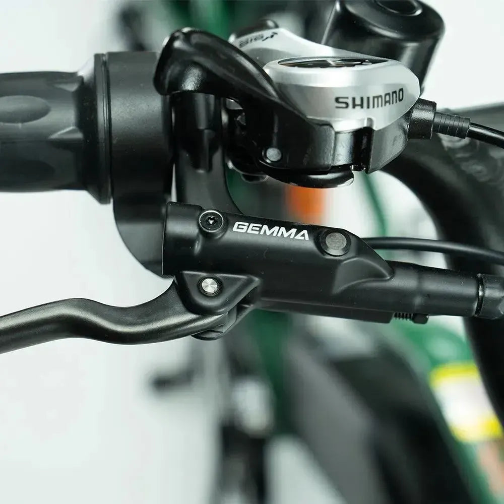 JOBOBIKE Transer - Longtail - Zielony
